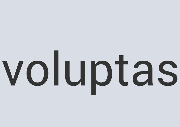 Durable Marble Pizzazilla