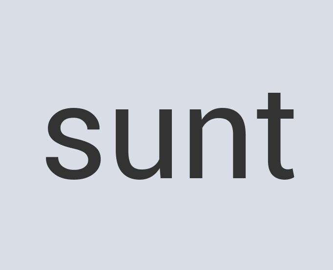 Awesome Concrete Vinyl Maid