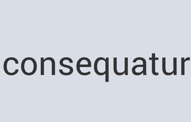 Awesome Leather Mr. Rubber Room