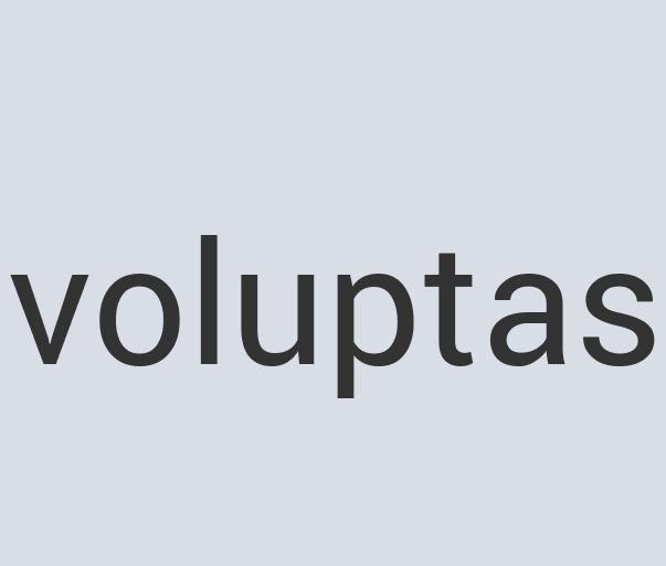 Sleek Iron Sin n’ Spin