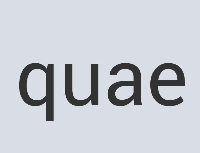 Awesome Silk Cheetah Chat