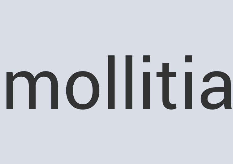 Ergonomic Leather All Indigo