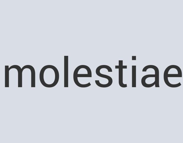 Enormous Marble Beef Blanks